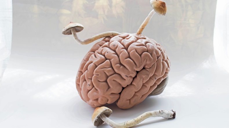 Mushrooms_Brain