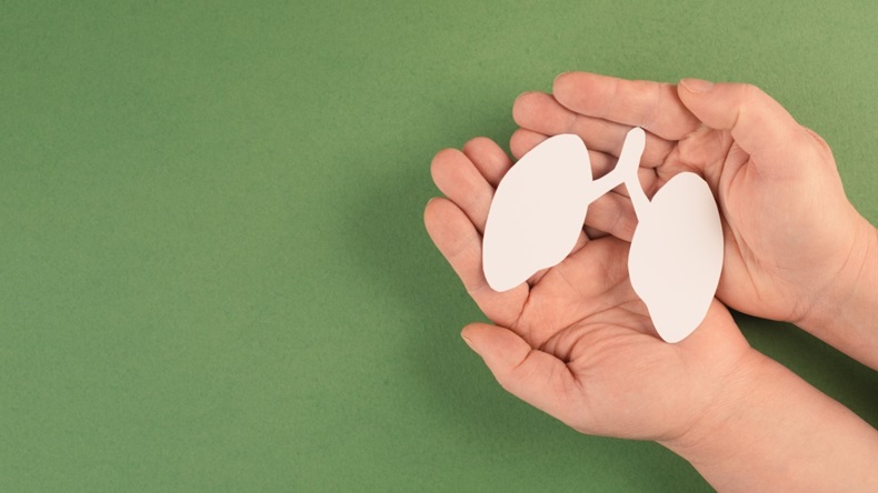 Pair of hands holding white paper lung cut out against green background