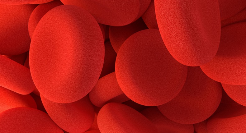3D rendering of red blood cells