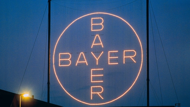 Bayer cross night