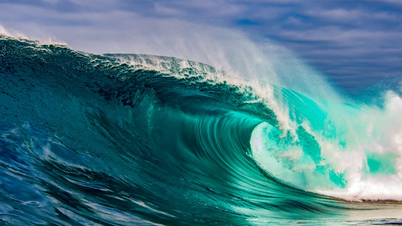 Amazing, perfect wave - Image 