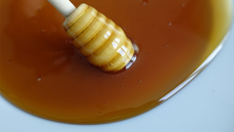 Honey - natural honey