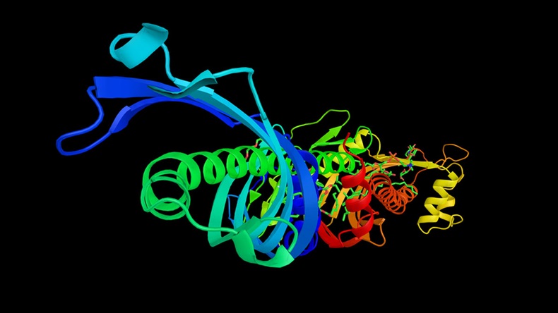 Cholesteryl ester transfer protein (3d structure) with a potential use in atherosclerosis therapy. It facilitates the transport of cholesteryl esters and triglycerides between the lipoproteins. - Illustration 