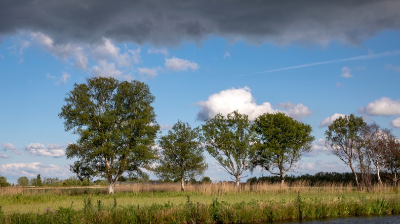 Dark looming thunder clouds above a river and a row of birches on the bank in the Nieuwkoop lakes in the Netherlands. - Image 