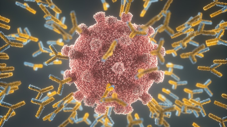Immunological system, antibodies attacking the virus covid-19. 3D illustration, concept of the body's defense system. Y-shaped antibody attacking the coronavirus.