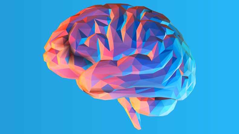 Colorful low poly side view brain illustration isolated on blue background