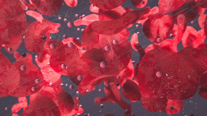 Red Blood Cells and T-Cells floating through blood vessels 3d rendering