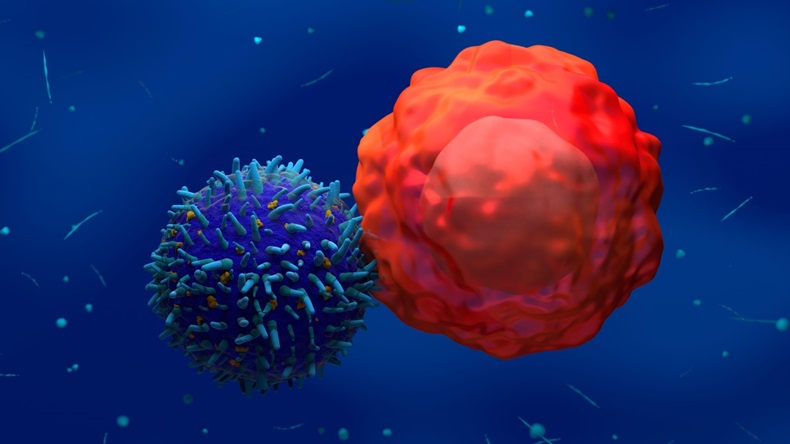 3D illustration of CAR-T cell attacking a cancer cell.