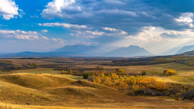 Vast prairie and forest in beautiful autumn