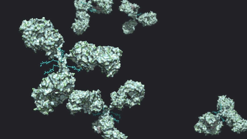 Antibody-drug conjugate
