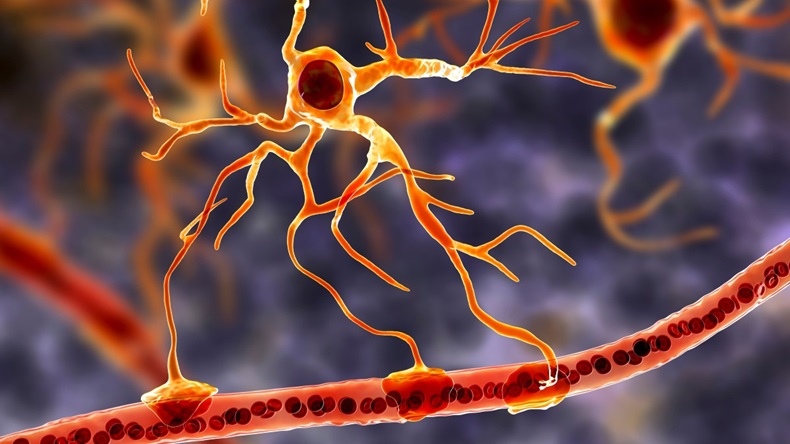 Graphic image of glial cell in brain/nervous system