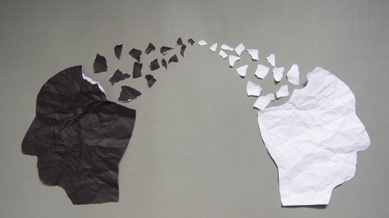Two paper heads in black and white, crumbling at the top, representing bipolar disorder