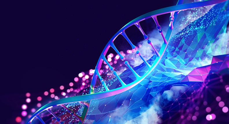 DNA helix 3D model