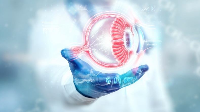 3d graphic of cross-section of eye in doctor's hand
