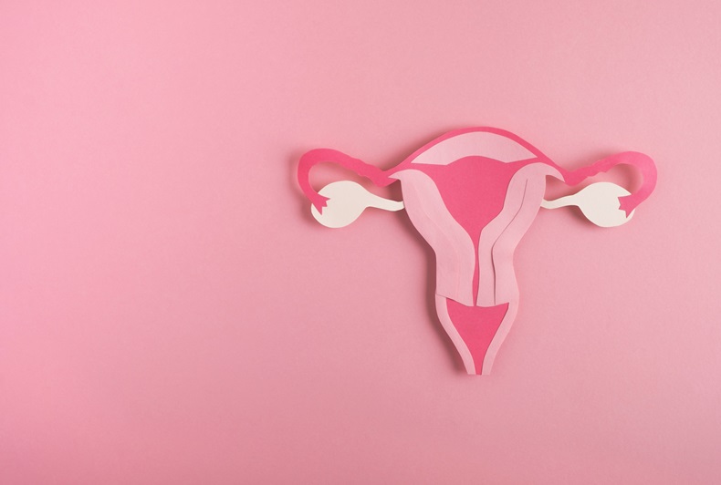pink paper cut out of uterus