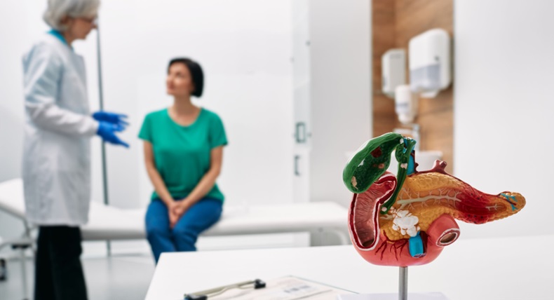 Anatomical model of pancreas on doctor table over background gastroenterologist consulting woman patient