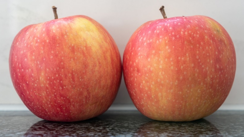 apples alike
