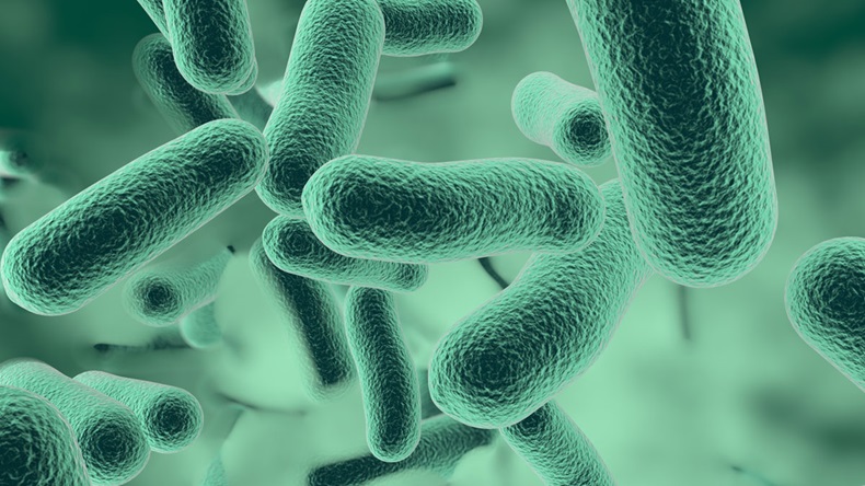 Bacterias 3D rendering