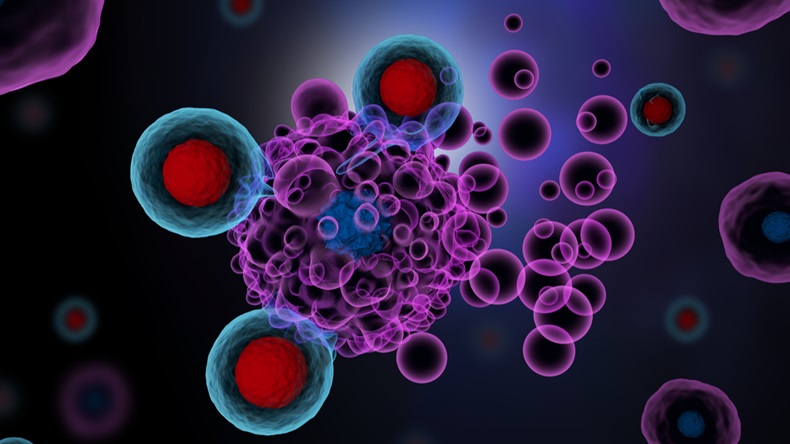 3d illustration of T cells attacking a cancer cell