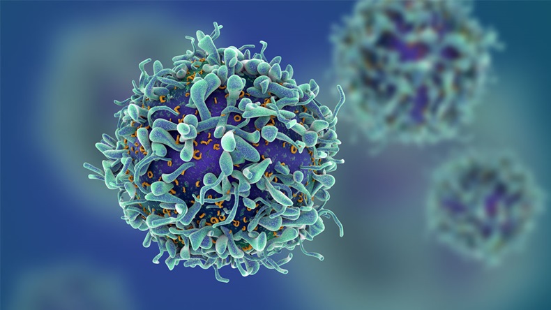 3d illustration of T cells or cancer cells