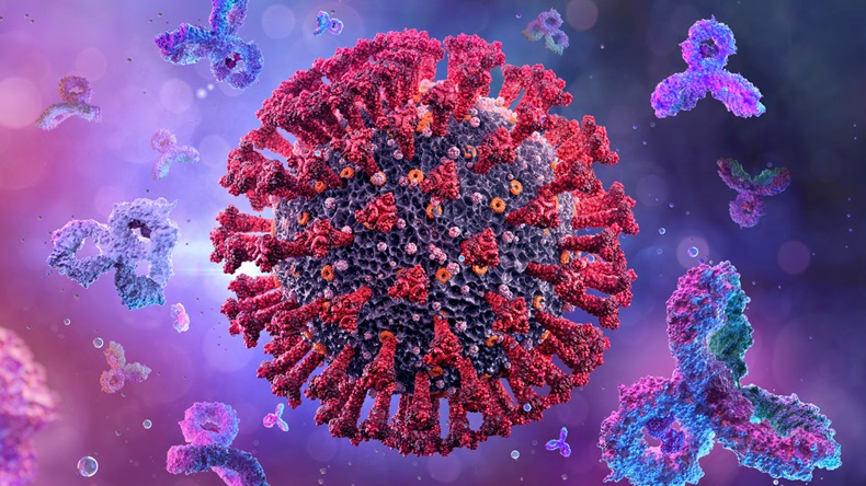 Antibodies immunoglobulins attacking coronavirus covid-19 influenza virus cell, 3D immune system medical illustration background. Corona virus 2019-ncov sars cell, igm. Coronavirus sars-cov-2 disease