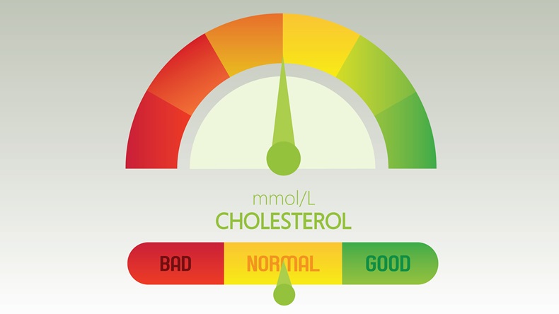 Cholesterol Meter