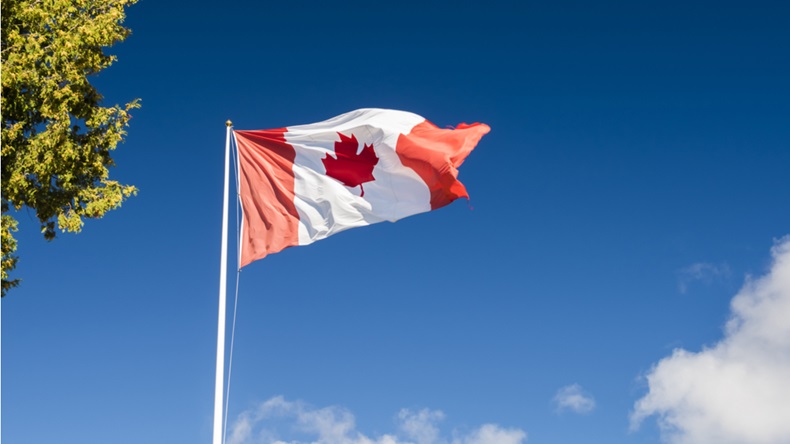 Canadian flag waving_567680776_1200