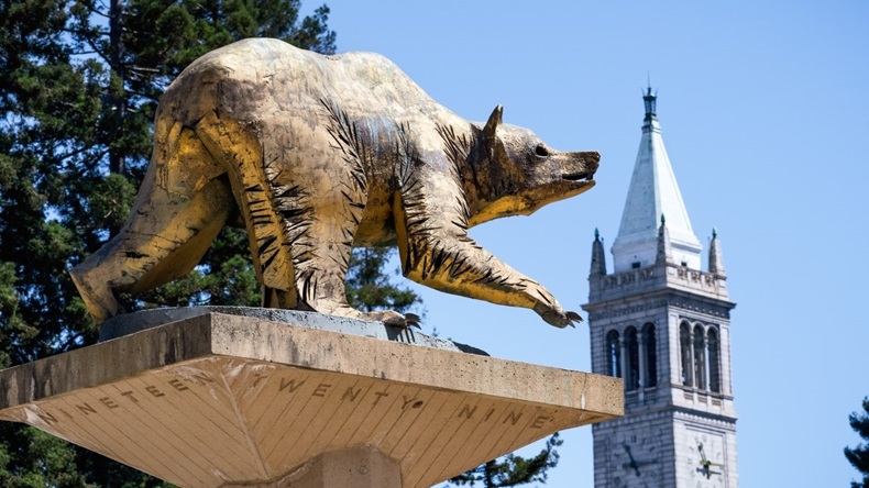 Golden Bear Statue on UC Berkeley campus.